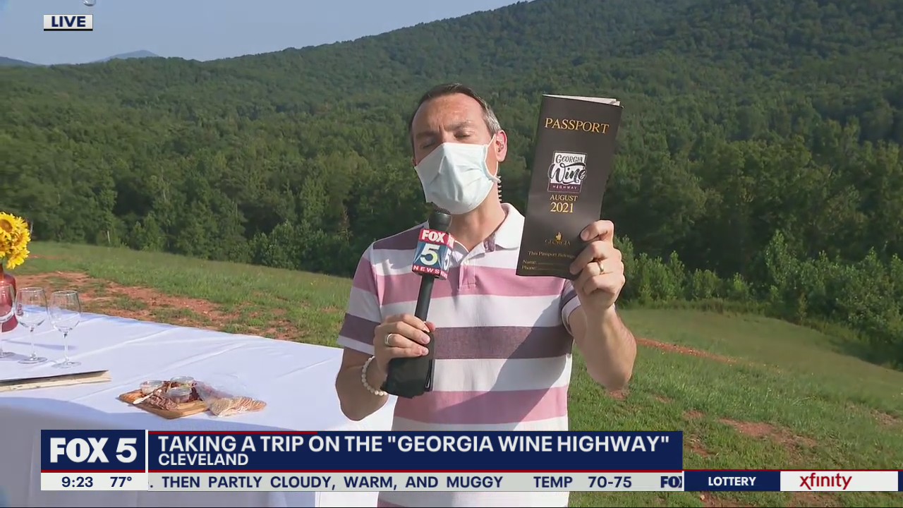 Taking a trip on the Georgia Wine Highway
