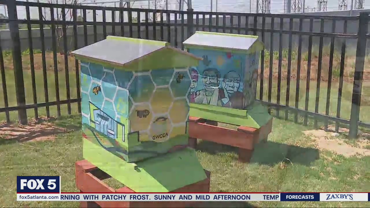 Busy bees have hive of activity in downtown Atlanta