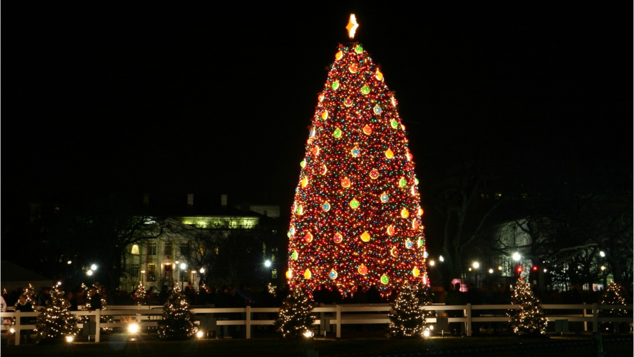 Christmas trees, in your home or famous ones, come from all over nation