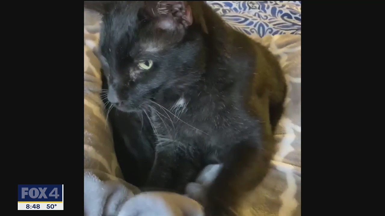 Pet of the Day: Thirteen