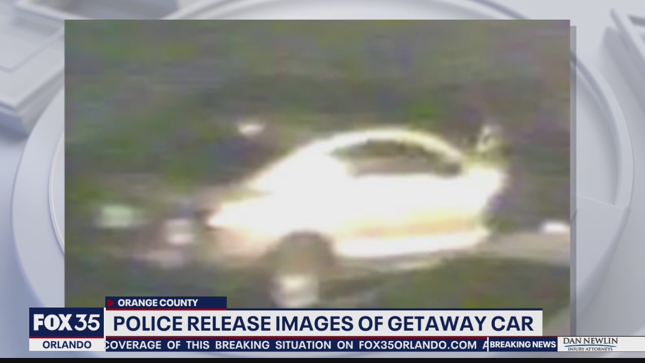 Police release images of getaway car in stolen French Bulldog case