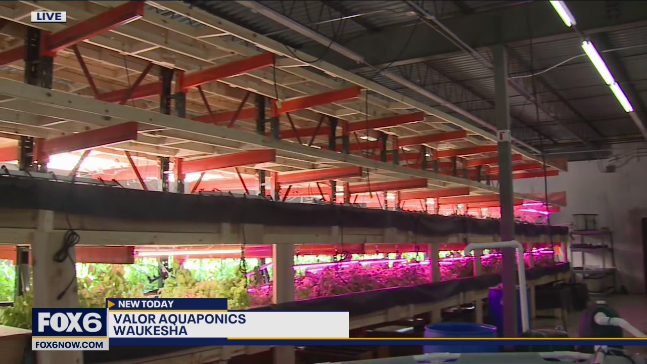 For one local farmer, opening an indoor farm started as a dream 10 years ago, and today it’s a reality