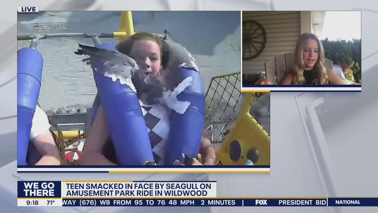 Teen hit by seagull on Sling Shot ride at Morey's Pier relives moment that has gone viral