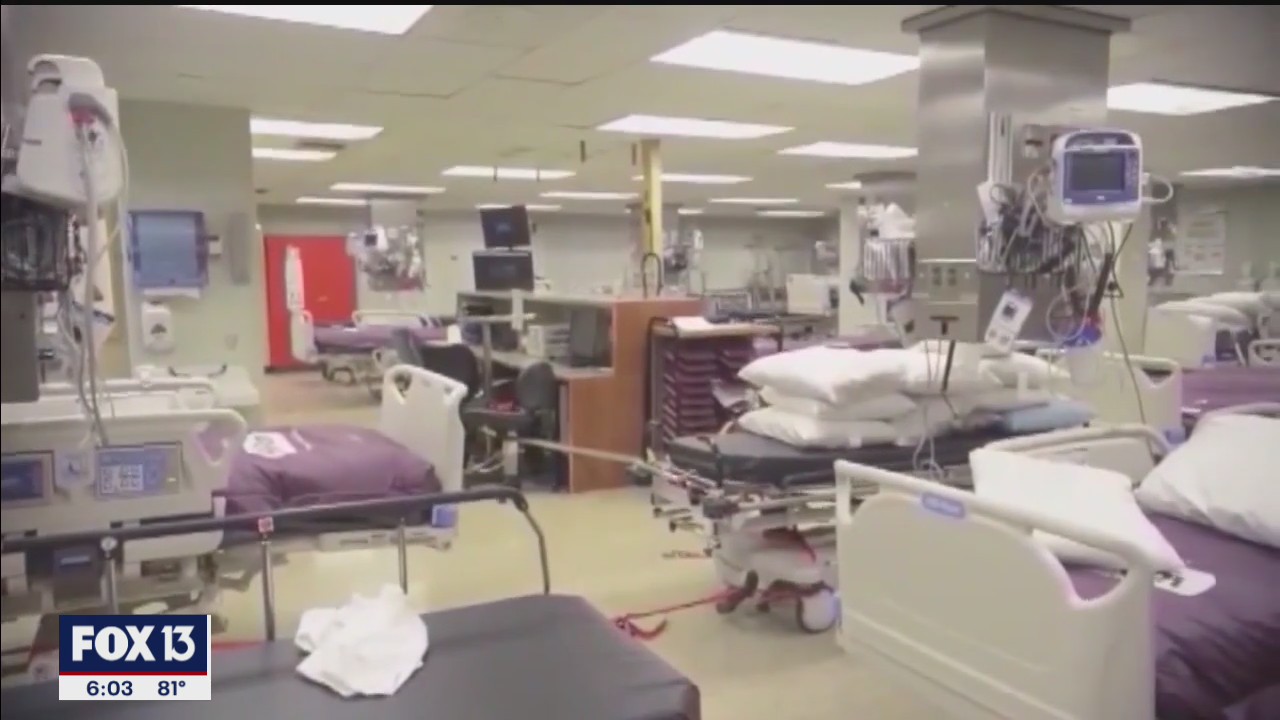 DeSantis makes statements on hospital capacity