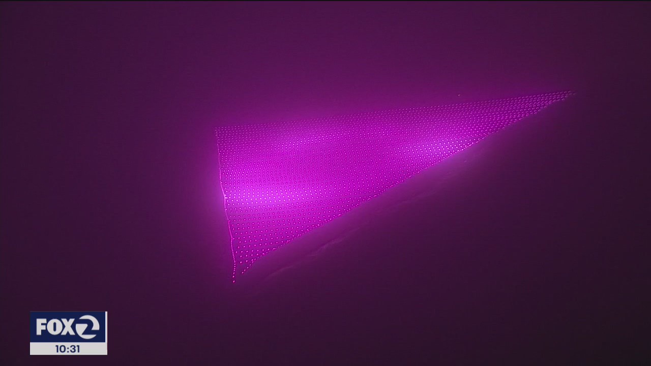 Pride Pink Triangle Pandemic Edition