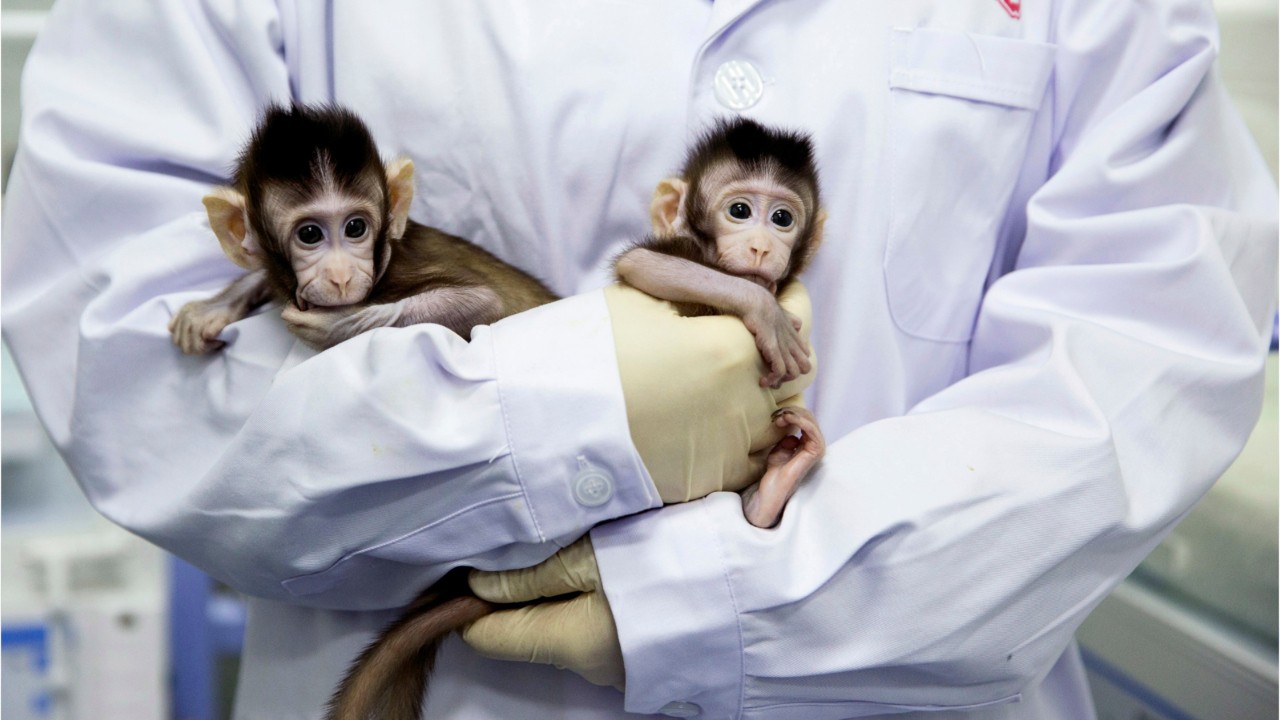 Reproductive breakthroughs of the 2010s that changed life as we know it