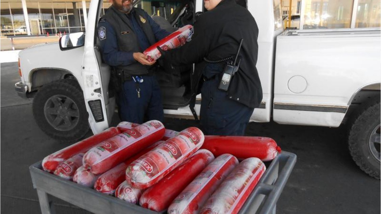 More than 150 pounds of contraband bologna seized by CPB