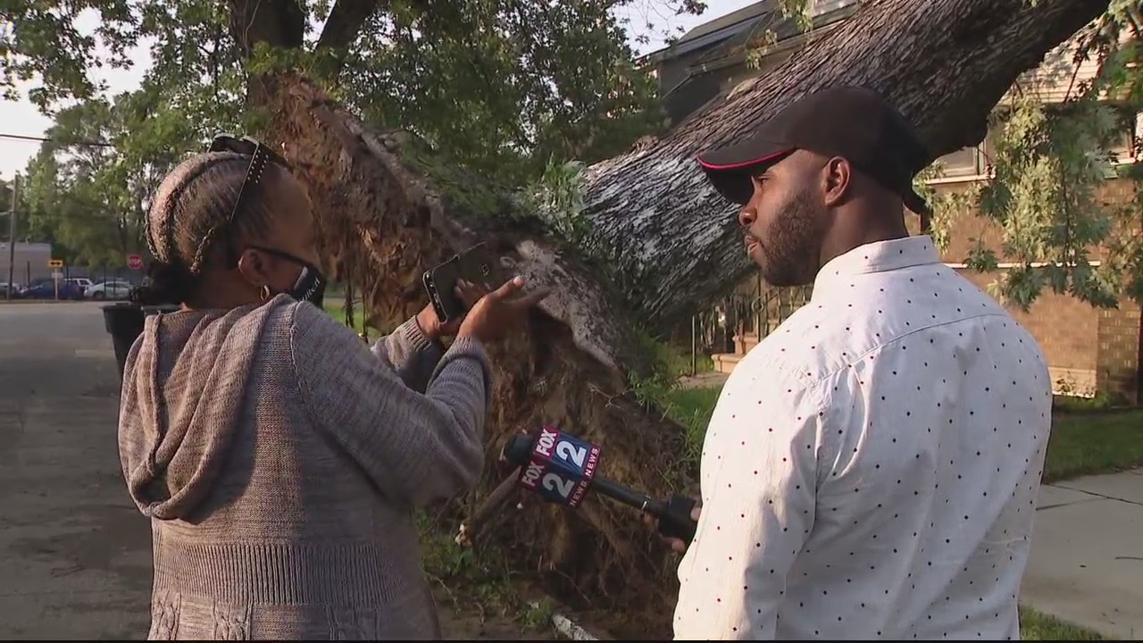 Wayne County left with toppled trees and downed power lines after storms