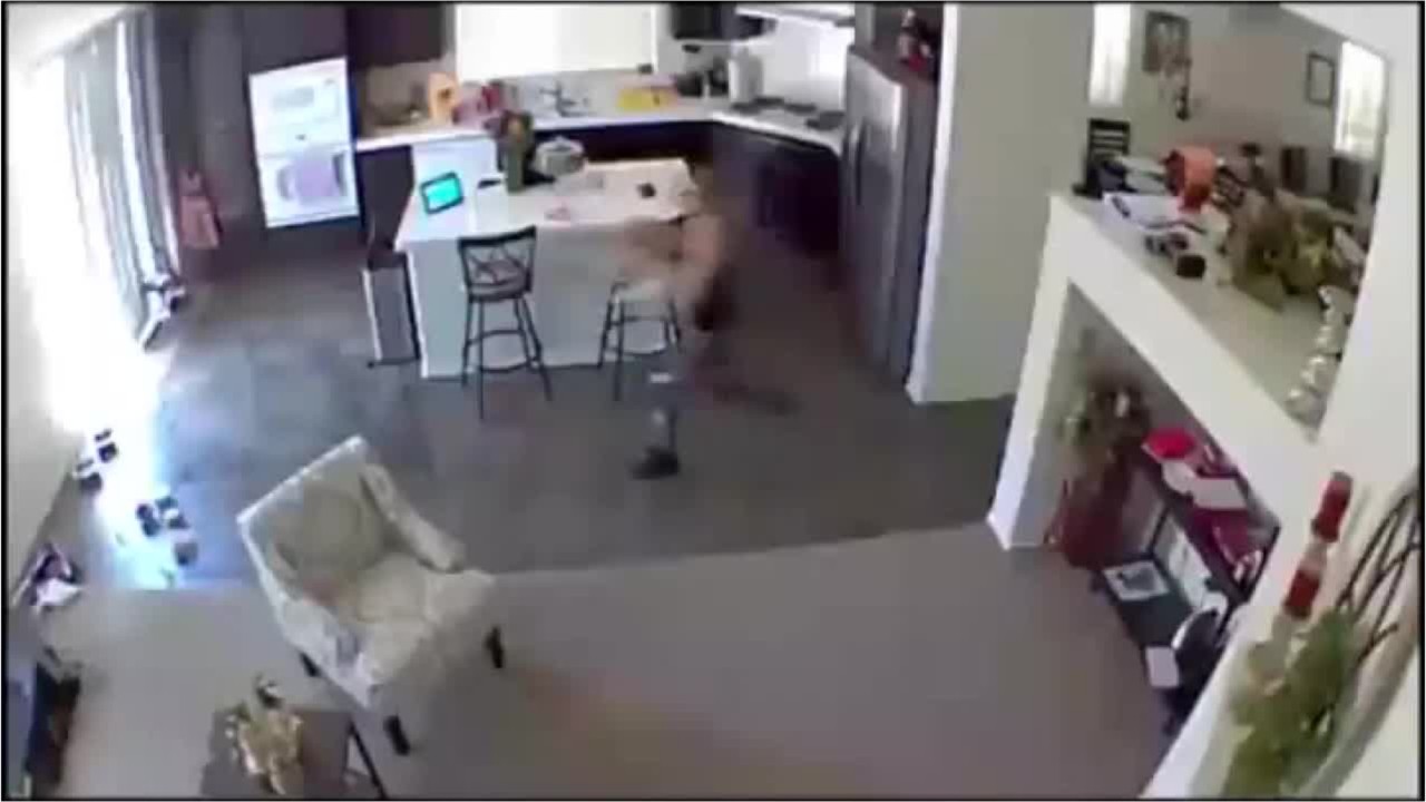 Pet sitter slams puppy to the ground in home video