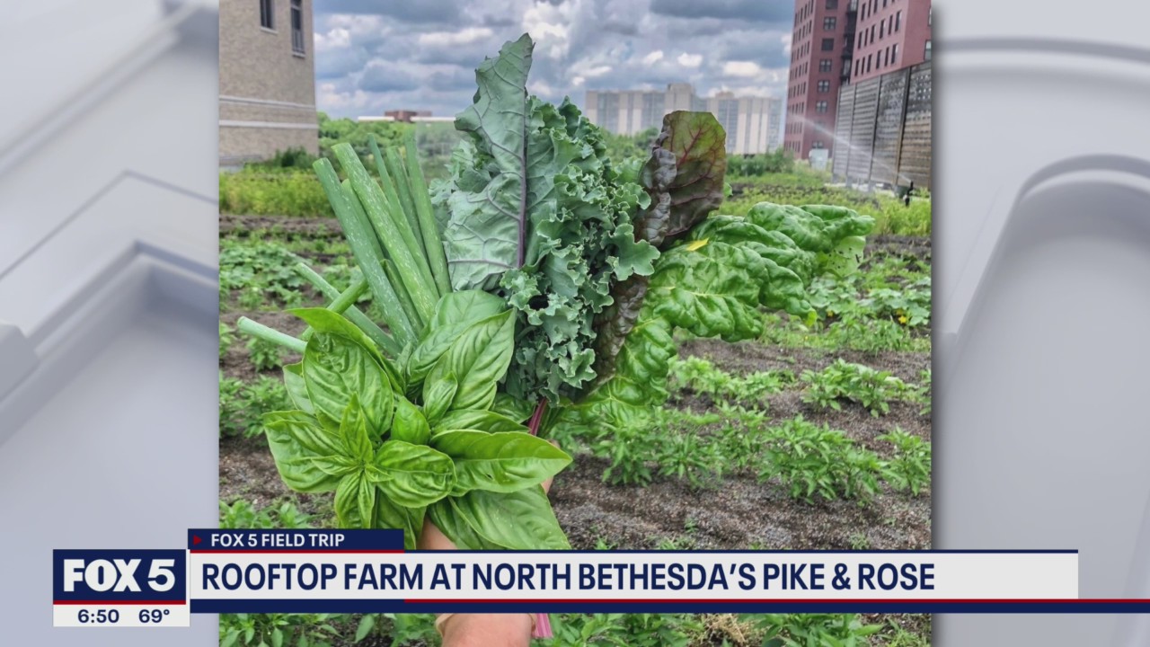 Rooftop Farm at North Bethesda's Pike and Rose