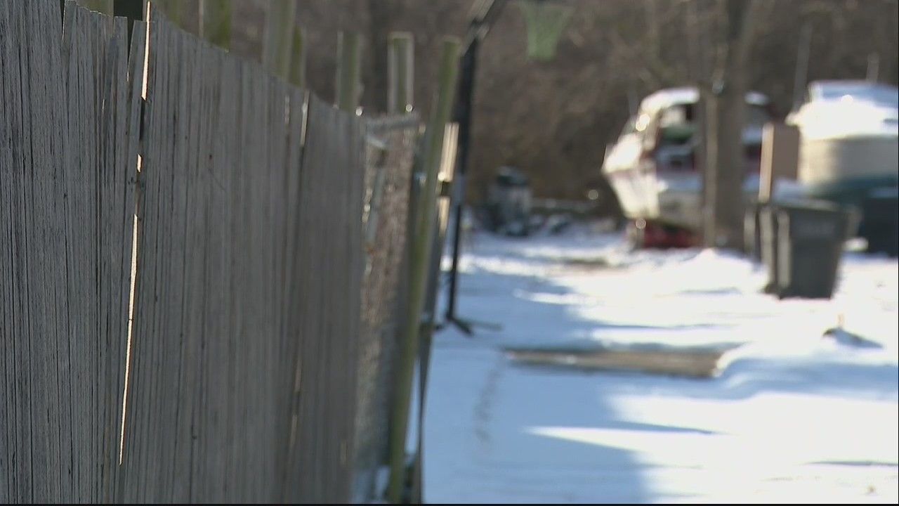 Boy, adult injured in dog attack on Detroit's west side