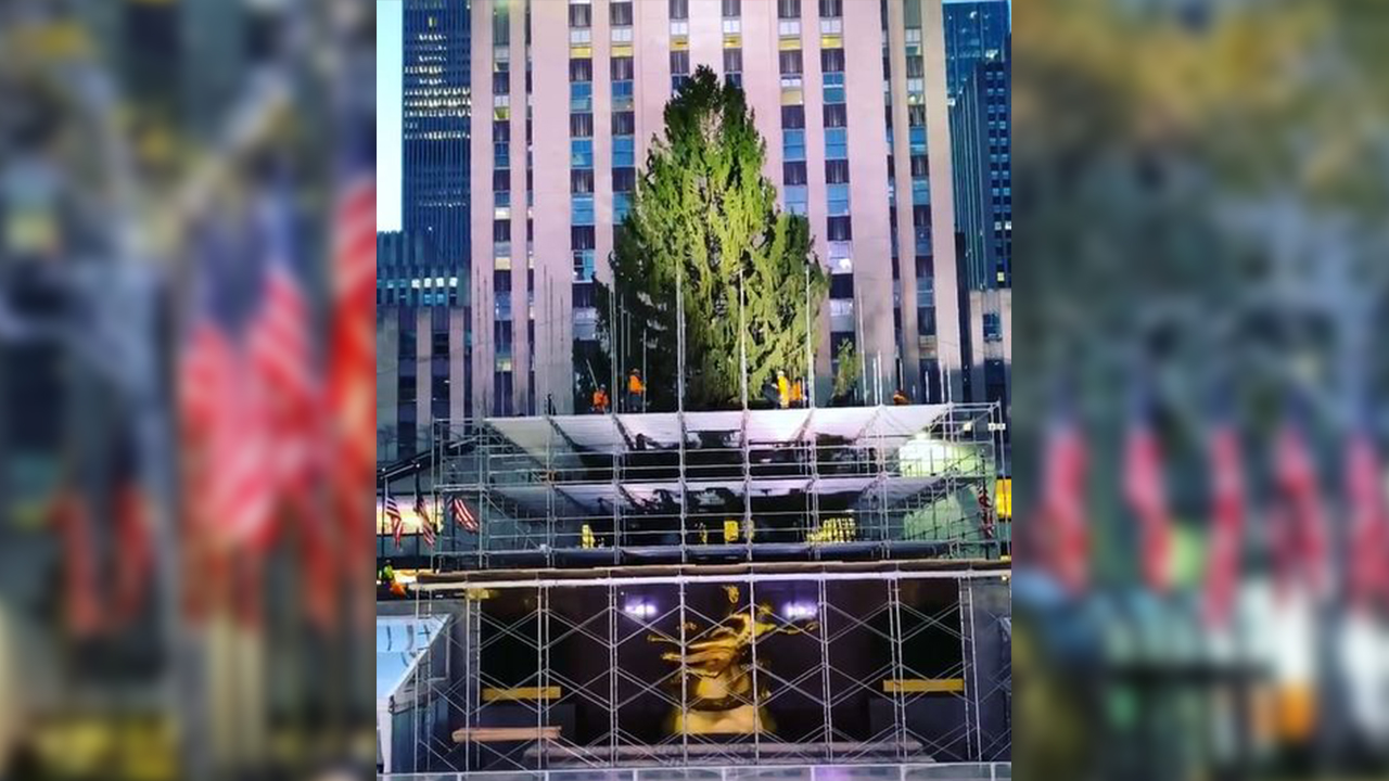 2020 Rockefeller Center Christmas Tree