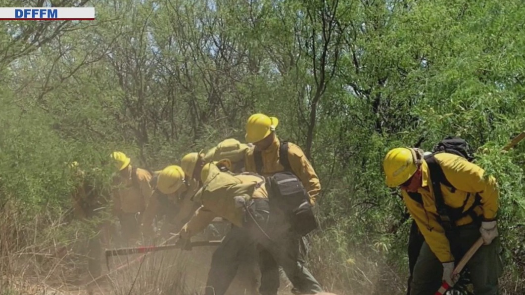Arizona inmates on the front lines fighting wildfires