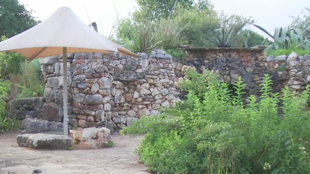 Lady Bird Day, Dog Days at Lady Bird Johnson Wildflower Center