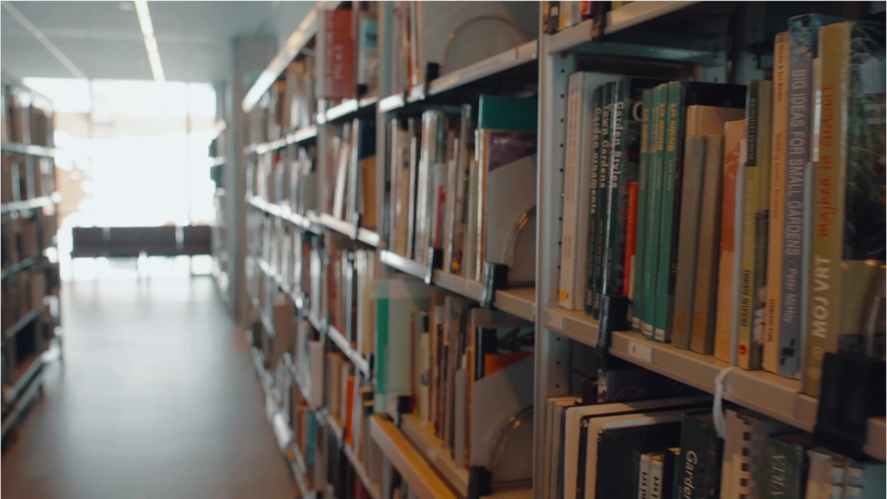 Mother faces jail time for overdue library books