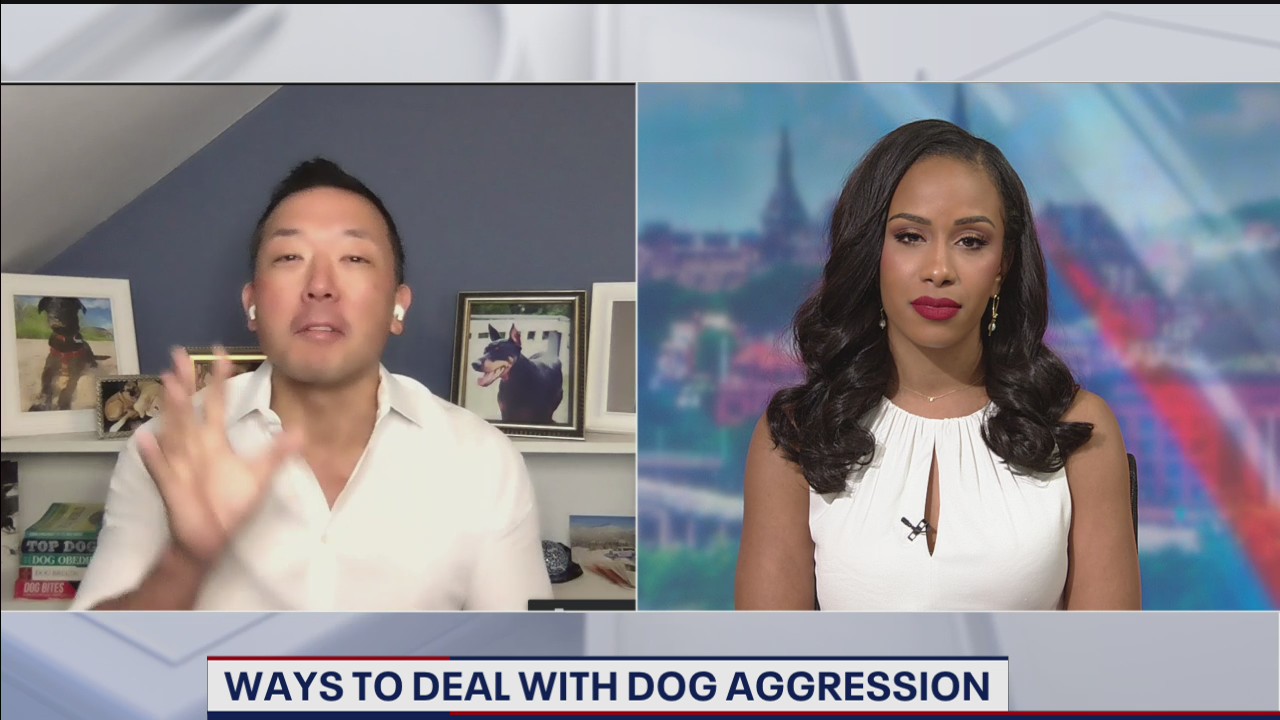 Dog aggression expert discusses incident involving President Biden’s rescue dog