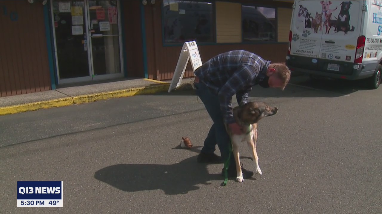 Heartwarming moment when man reunites with dog