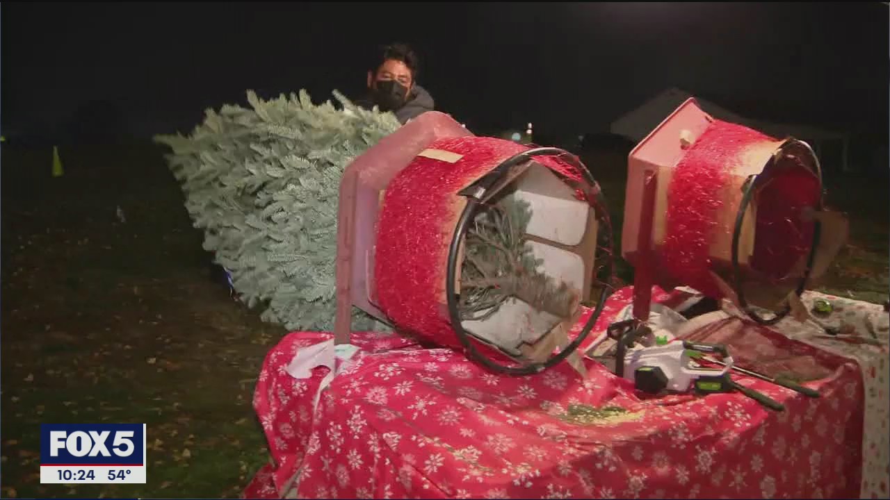Christmas trees already in high demand