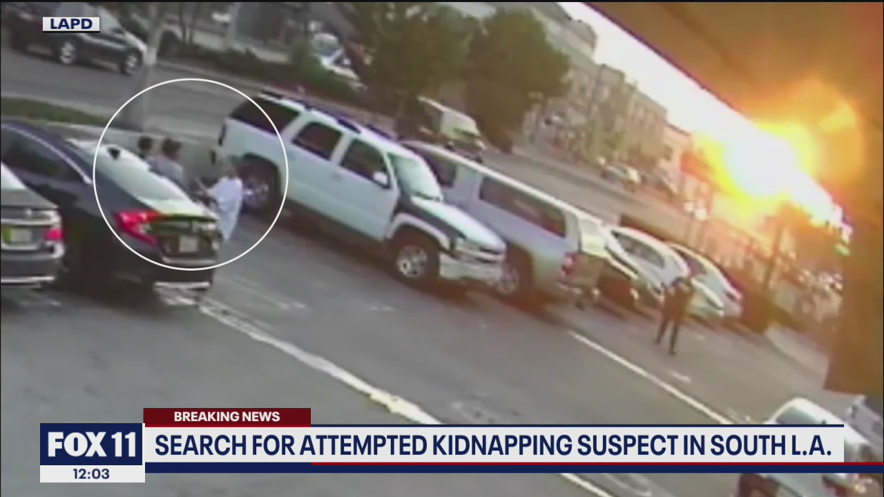 LAPD asks for help identifying woman seen on video attempting to kidnap 1-year-old