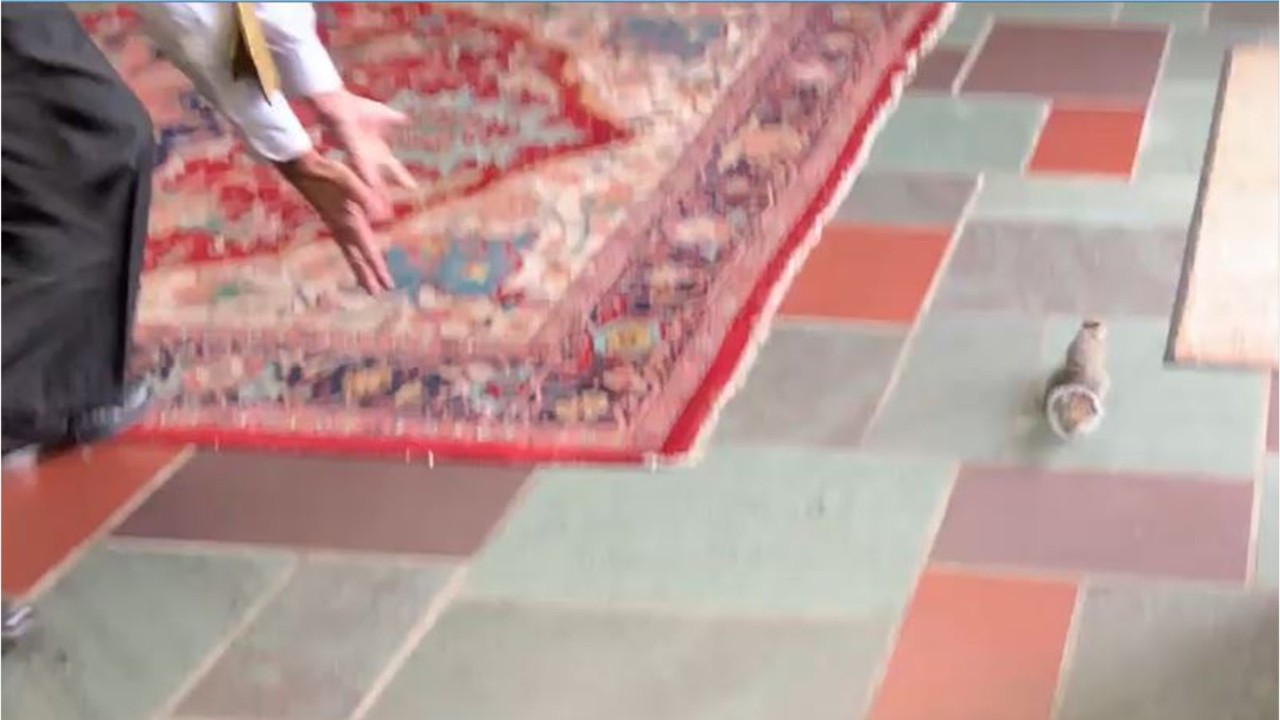 Furry churchgoer interrupts Sunday service in hilarious video