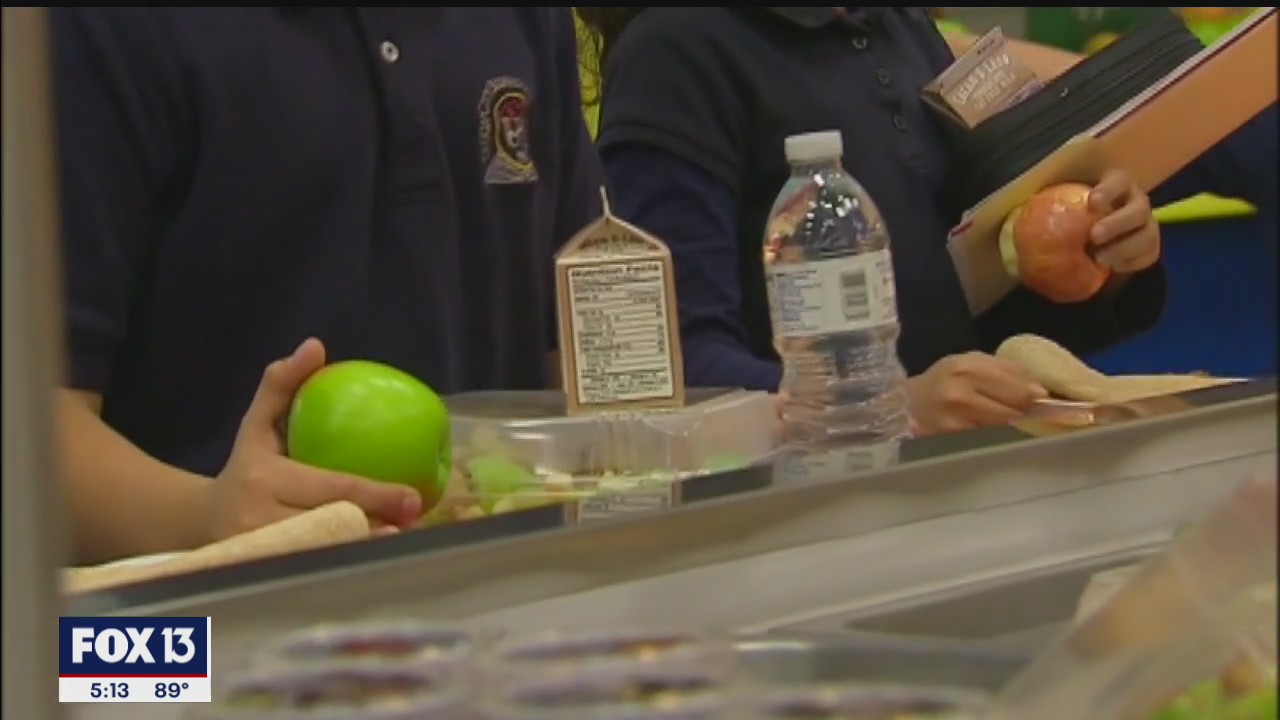 Polk schools outline food-service changes