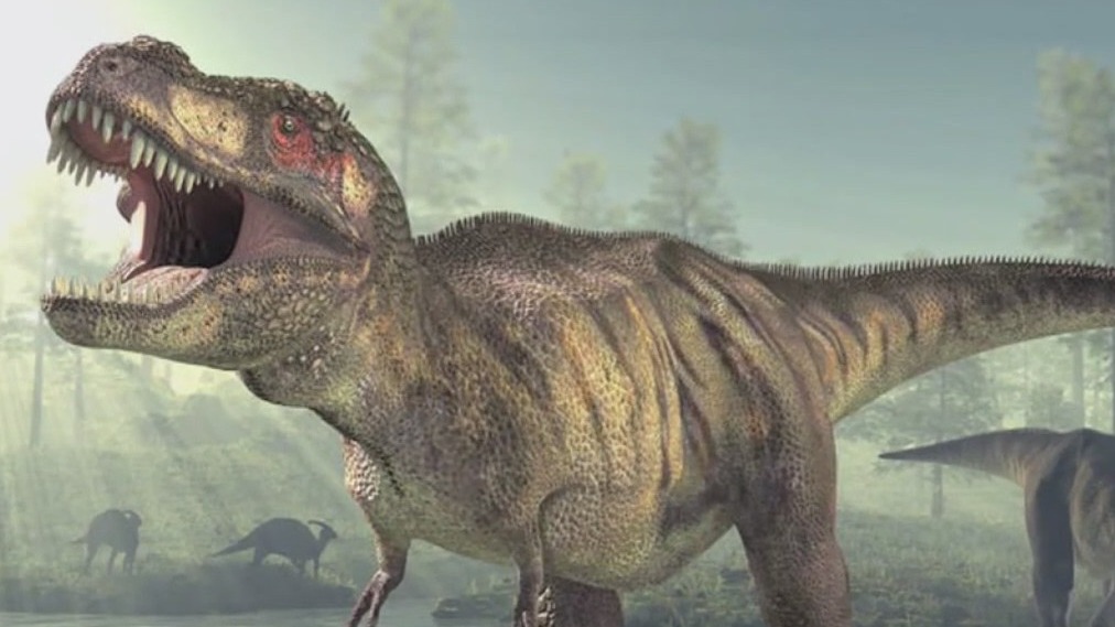 How many T. rexes roamed Earth?