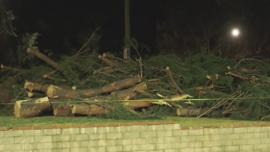 Wind damage and power outages