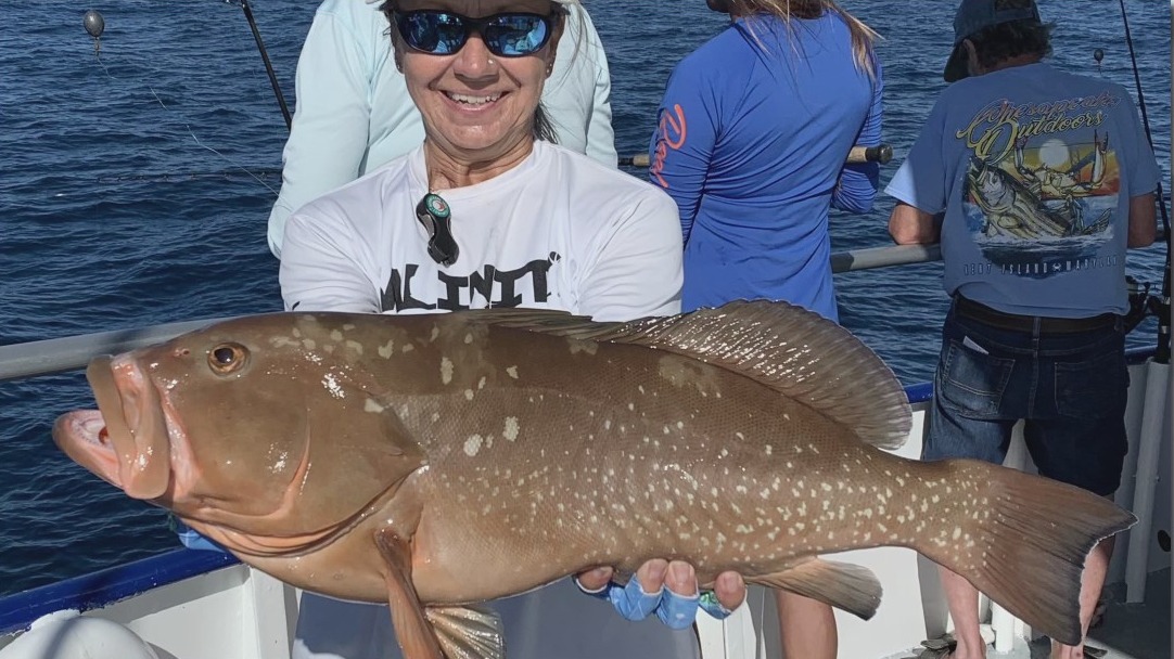 Near shore, offshore waters making up for inshore losses due to red tide