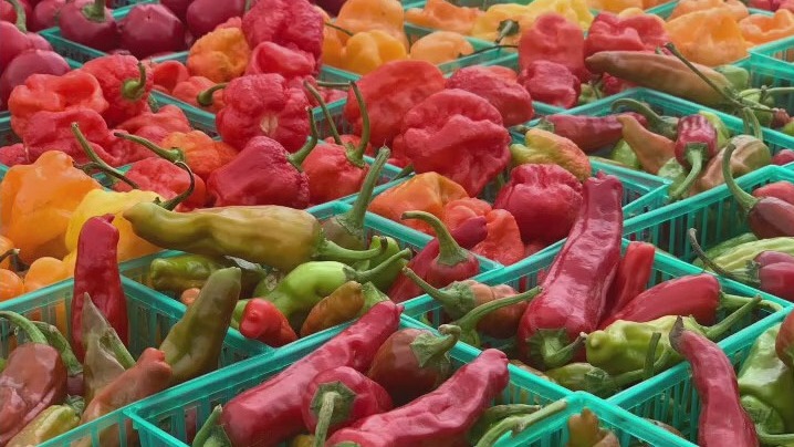 Shopping local at the Barton Creek Farmer's Market
