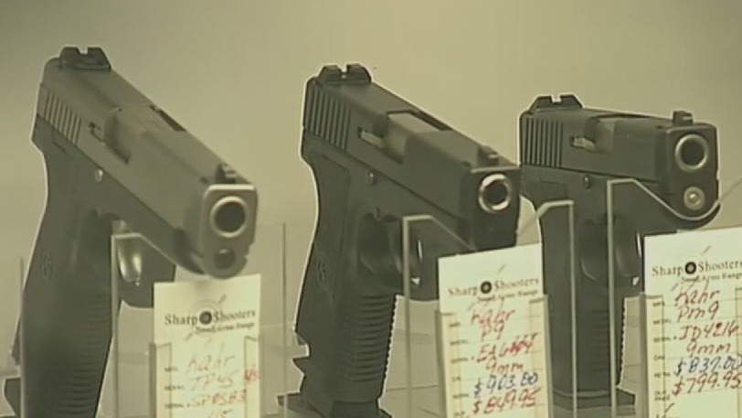 The latest in politics: Gun control, the border crisis, and more