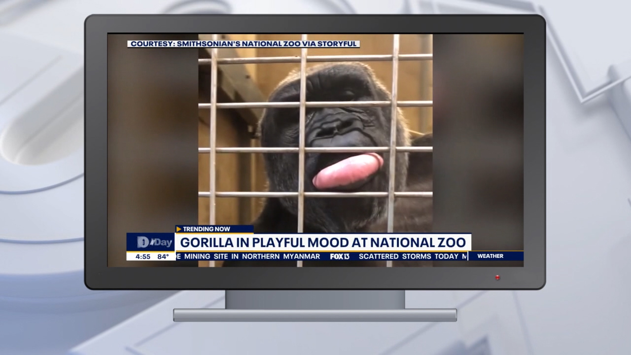 Good Day Goodies: July 10, 2020