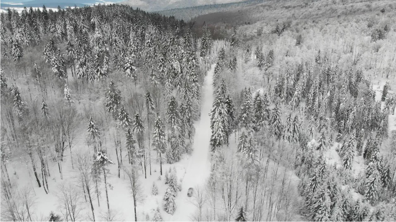 Heavy snow, freezing rain expected across US, NWS says