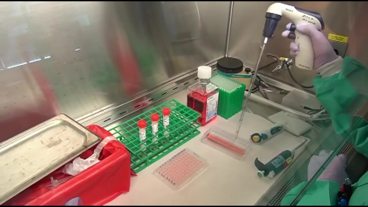 Florida’s first known case of COVID-19 diagnosed 1 year ago