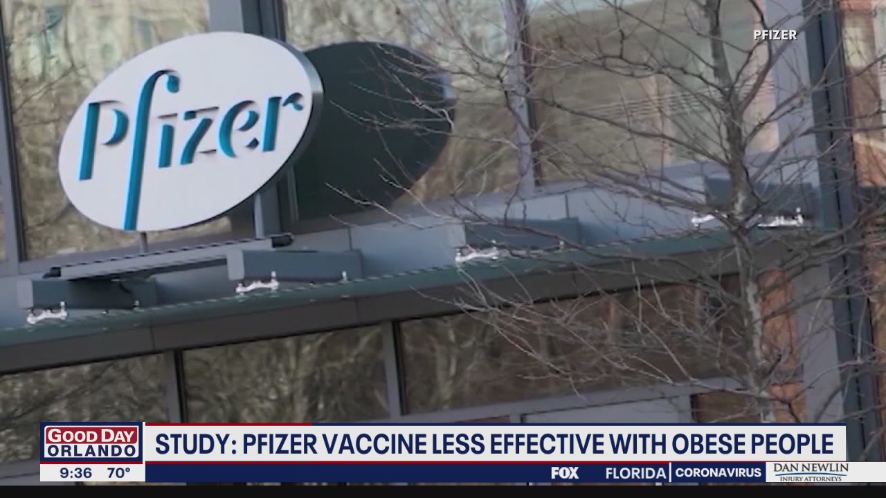 Study: Pfizer vaccine less effective with obese people