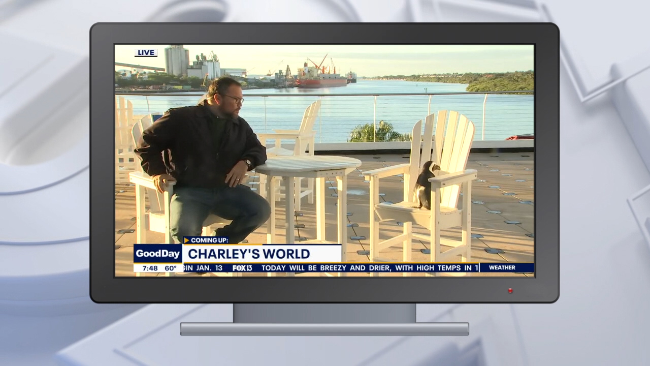 Good Day Goodies: Dec. 25, 2020