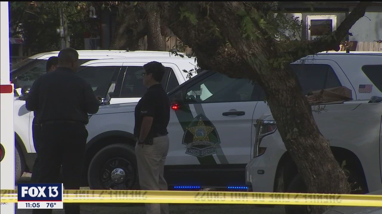 ‘She was absolutely covered in blood like a horror movie,’ Sheriff Nocco says