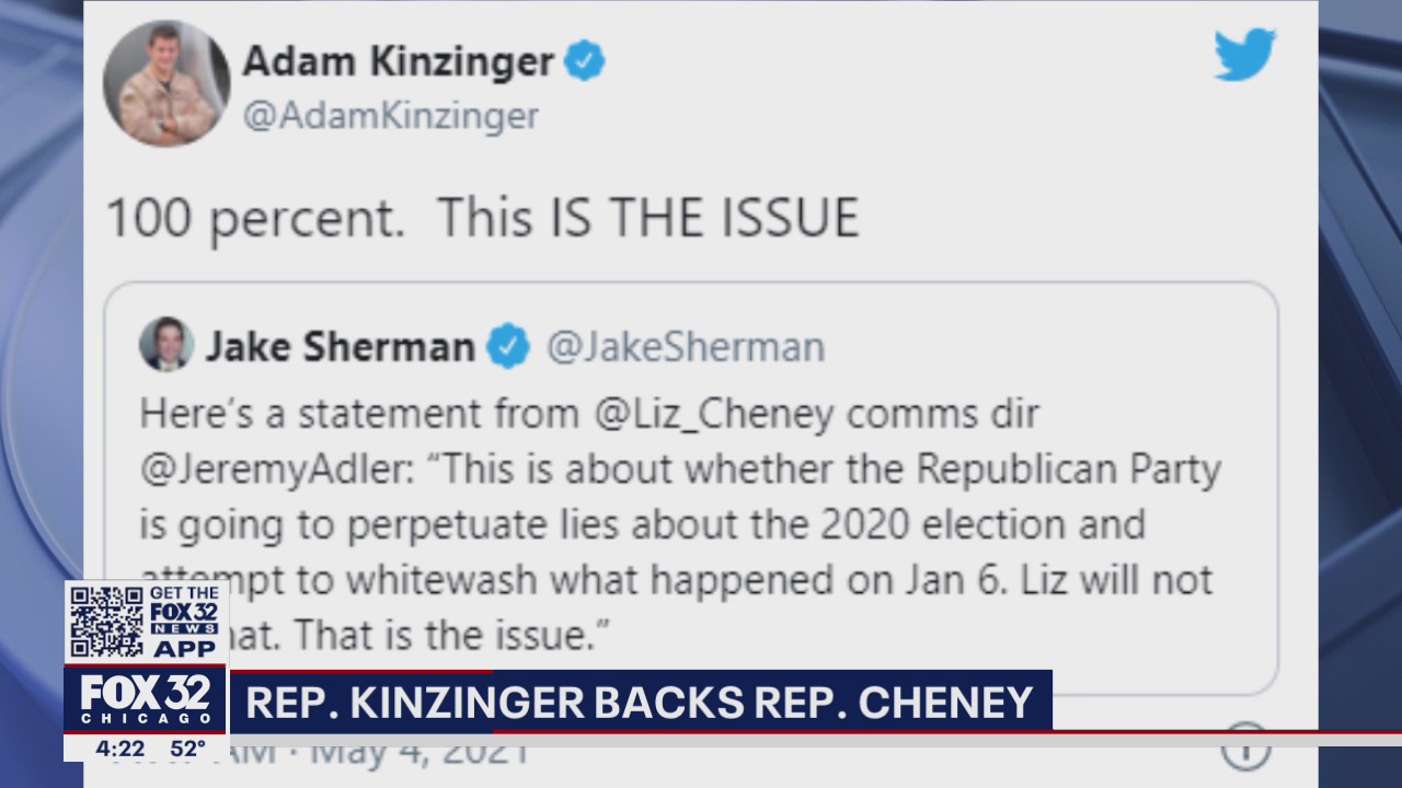 Illinois congressman Adam Kinzinger throws support behind Rep. Liz Cheney
