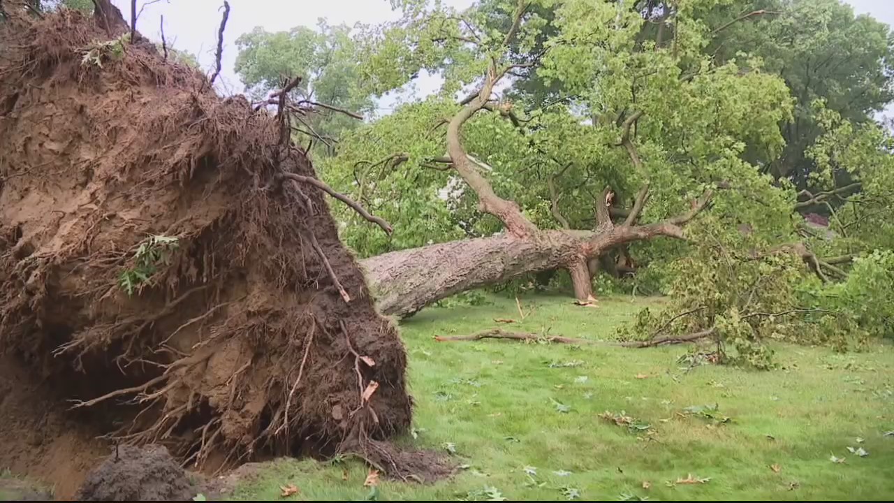 Another round of storms wreak havoc on Metro Detroit