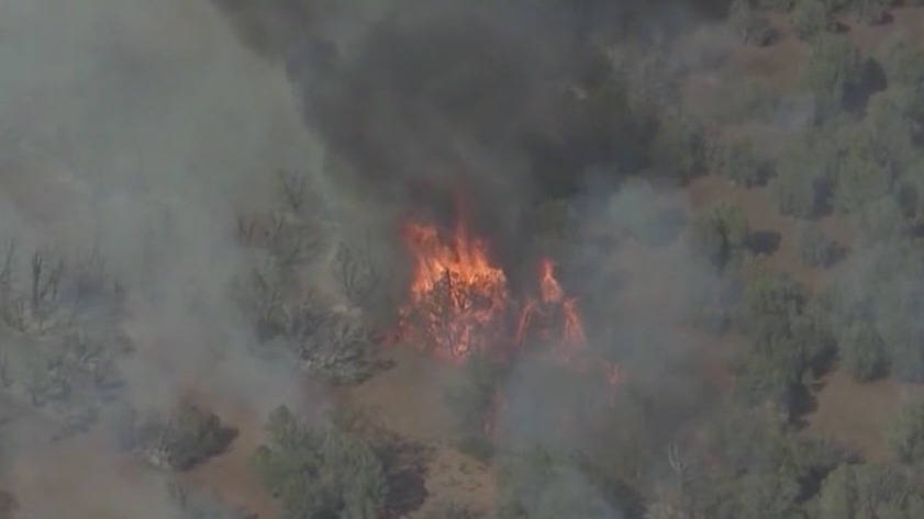 Fire officials: prevent wildfires by not using fireworks this year