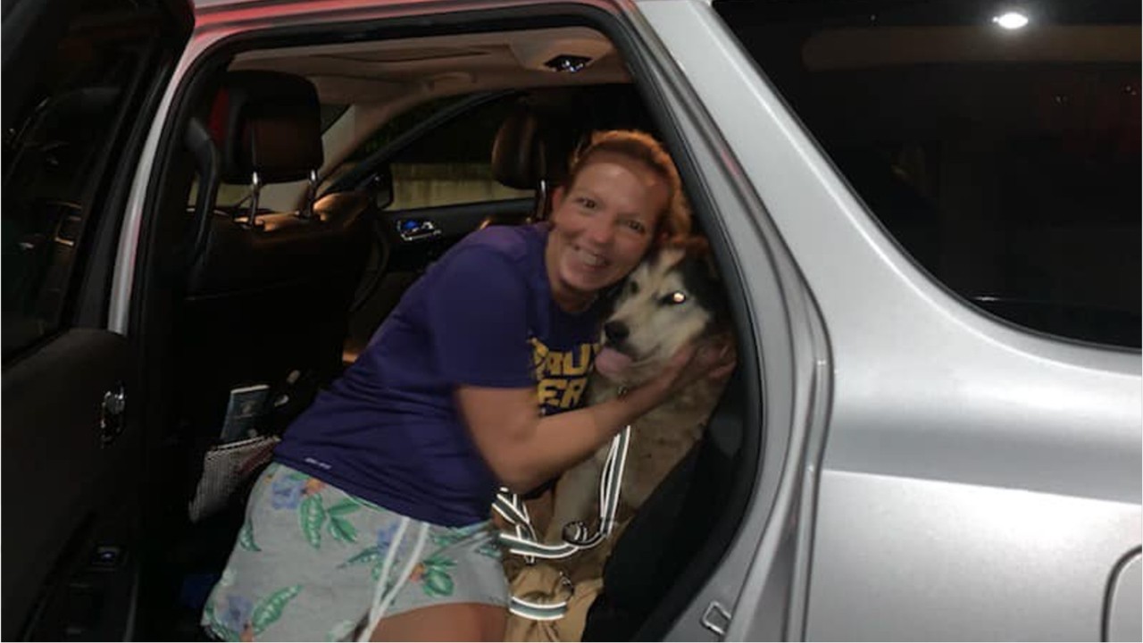 Dog missing for 8 years reunited with her owner thanks to microchip
