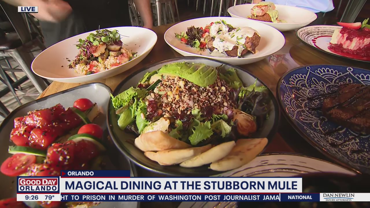 David Does It: Magical Dining at The Stubborn Mule