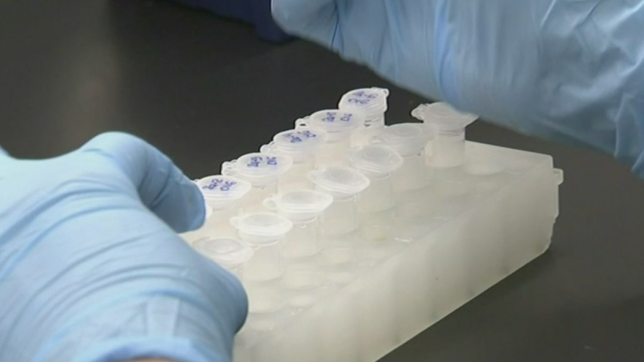 Infection spikes in New York
