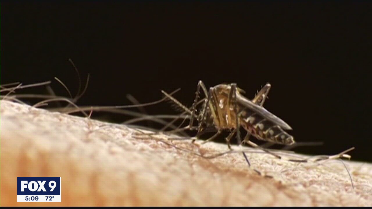 Heat wave could cause more cases of West Nile virus this year