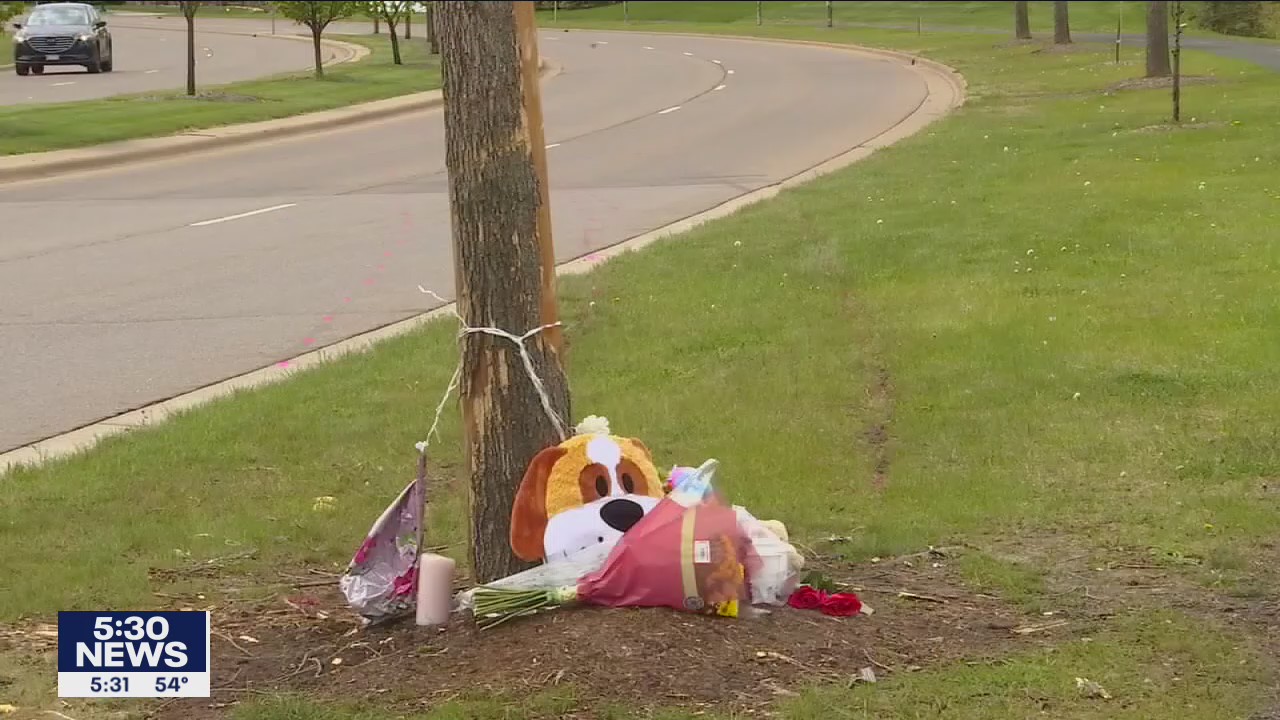 Family mourns loss of two children and mother after fatal crash in Maple Grove