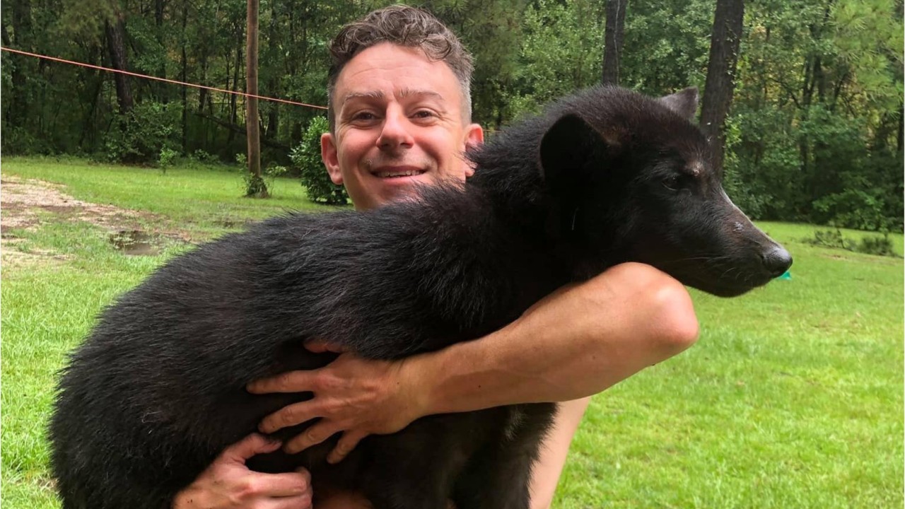 Man finds collar, note on mailbox saying missing dog was shot by neighbor for digging through trash