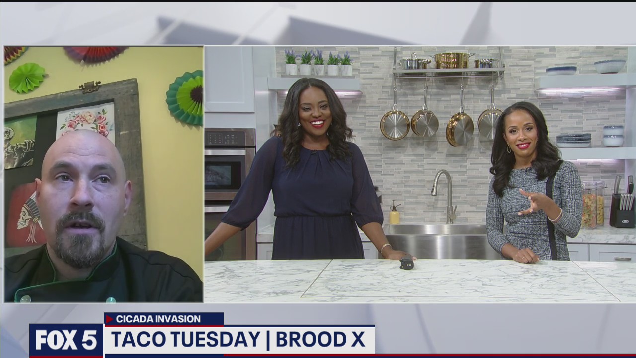 Chef gives tips on how to cook cicadas to perfection!