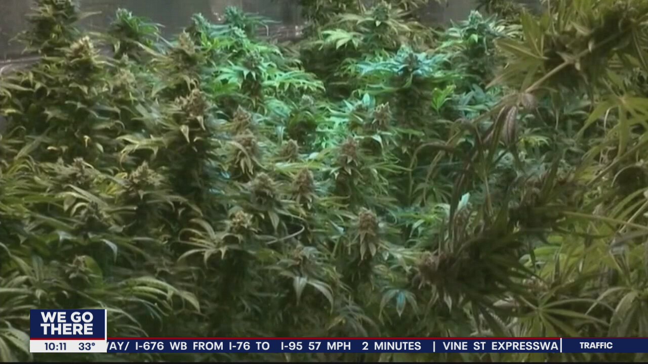 Gov. Murphy signs laws to set up recreational marijuana market in New Jersey