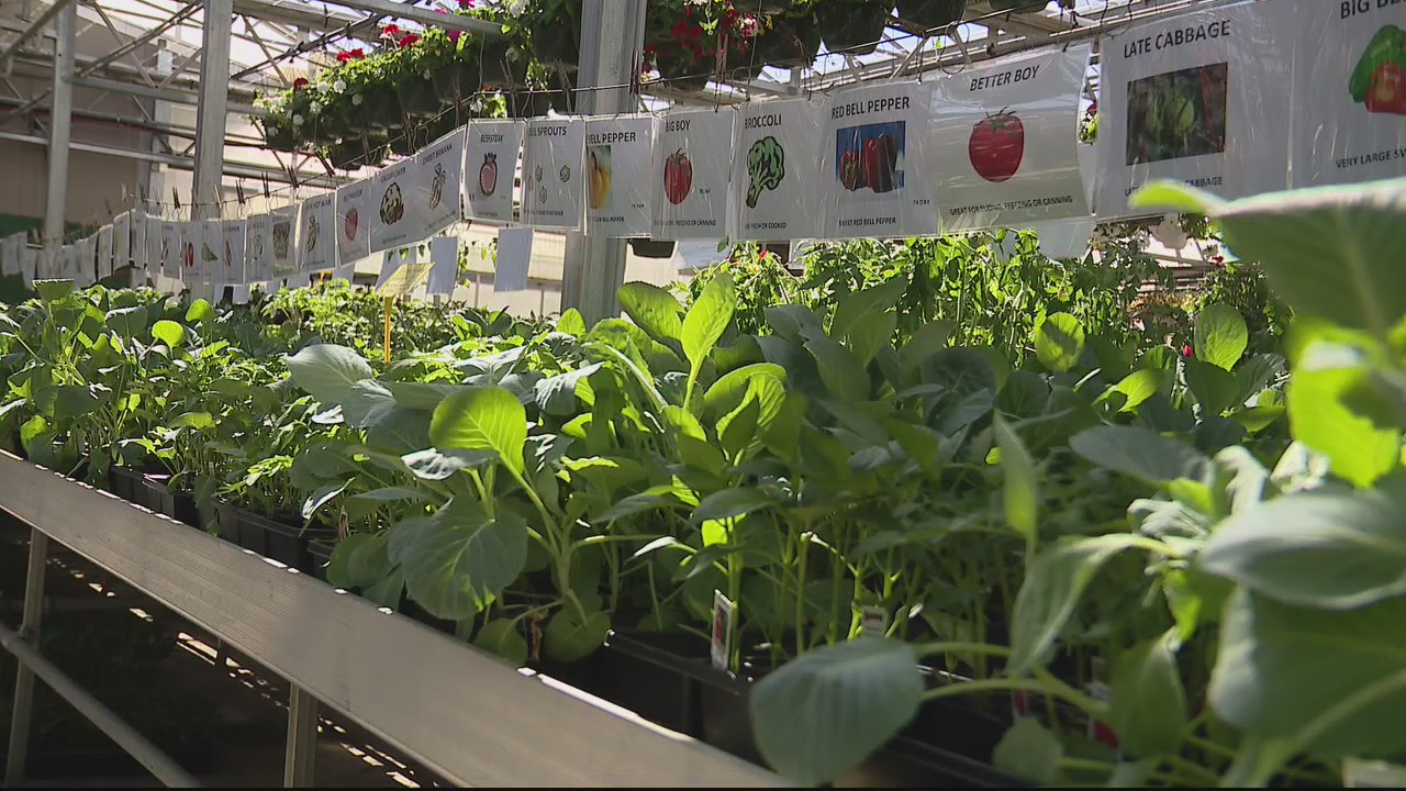 Mid-May means it's time to plant the garden in Michigan