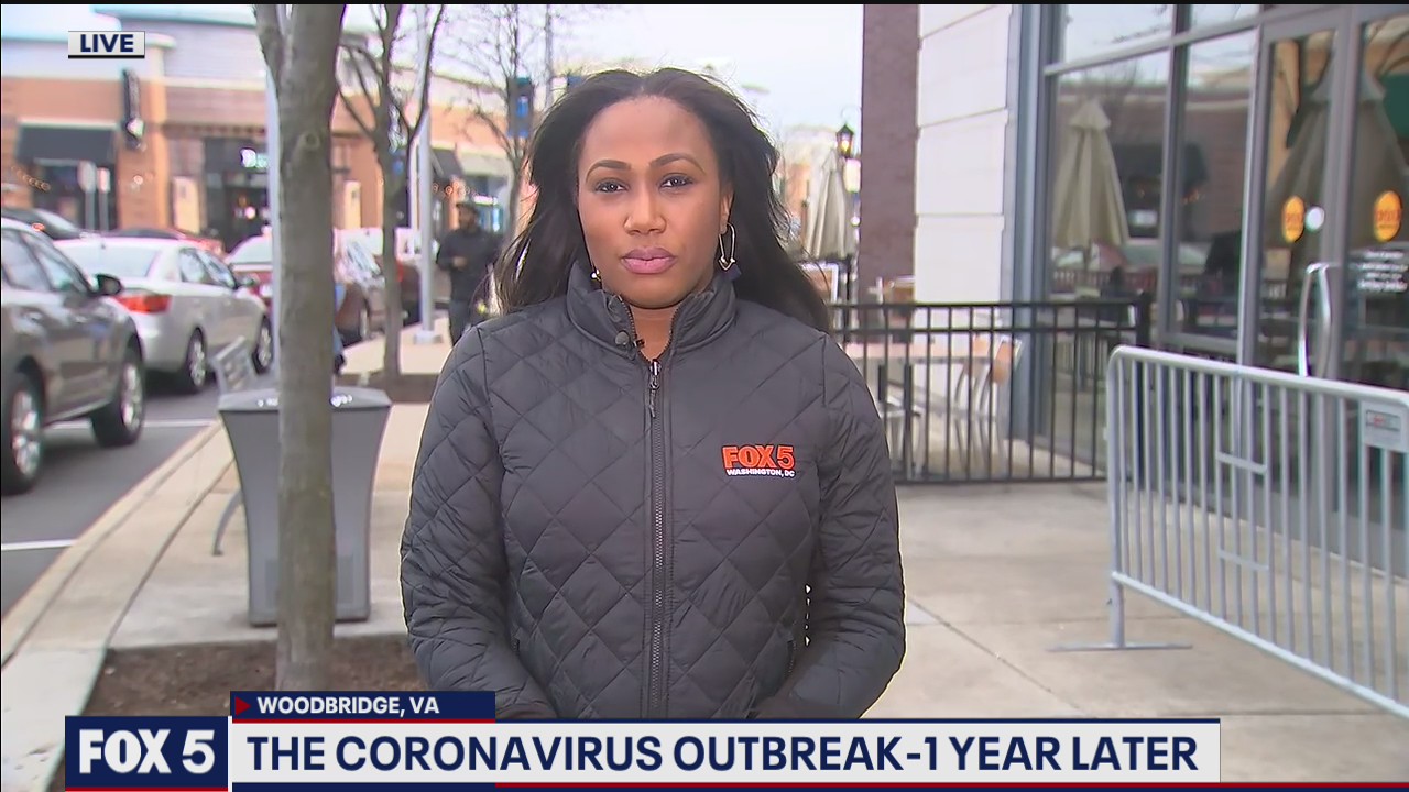 The Coronavirus Outbreak - 1 Year Later