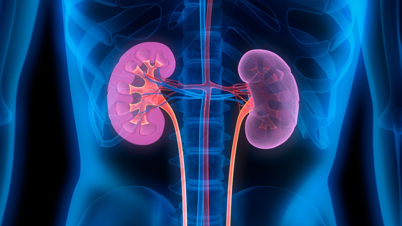 Husband donates kidney to wife of 51 years